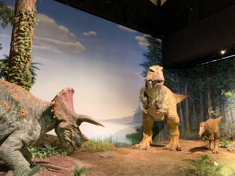茨城県自然博物館動く恐竜